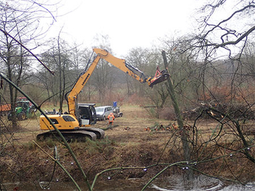 Je weniger Laub, desto besser für das Froschkraut: Am Hunte-Altarm bei Wildeshausen (Landkreis Oldenburg) wurden direkt am Wasser stehende Bäume und Sträucher gefällt.