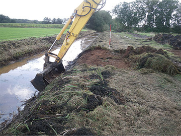 Der Bagger entschlammt einen Graben mit Froschkraut-Vorkommen bei Hemsen (Landkreis Emsland) und schafft durch eine Aufweitung Flachwasserbereiche.