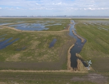 Das Deichvorland im Vogelschutzgebiet Unterelbe aus der Vogelperspektive: Hier entwickelt sich struktur- und artenreiches Feuchtgrünland mit vielen naturnahen, offenen Wasserflächen.