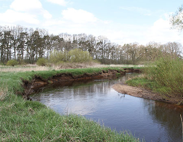 Die Wümmeniederung bei Veersebrück