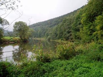 Das Fuldatal mit Grünland und bewaldeten Hängen