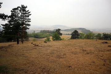 Ausblick vom Wahrberg