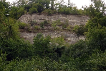 LRT 8210 - Kalkfelsen mit Felsspaltenvegetation am Wesersteilhang des Breitensteins