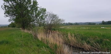 Landwirtschaftlich geprägtes Umfeld