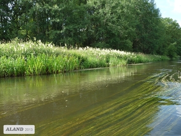 Die Örtze südlich Kreutzen - LRT 3260 - Fließgewässer mit flutender Wasservegetation