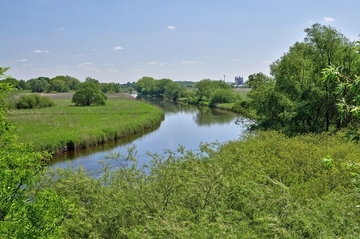 Naturnaher Flussabschnitt der Ilmenau bei Winsen