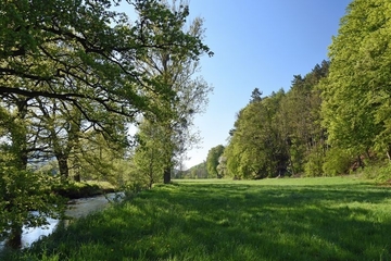 Die Gewässeraue der Lenne