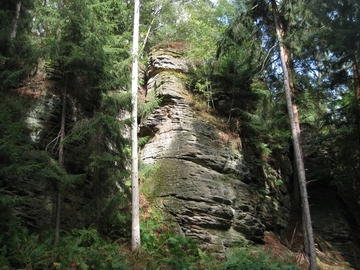 LRT 8220 - Silikatfelsen mit Felsspaltenvegetation