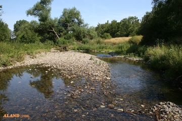 Schotterbank in der Innerste