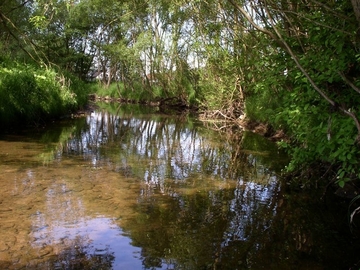 Naturnaher Abschnitt der Schwülme mit Habitat von Groppe und Bachneunauge