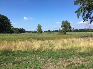 Blick über das östliche Gebiet mit Teichen und Grünland