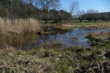 Kleingewässer im Südwesten