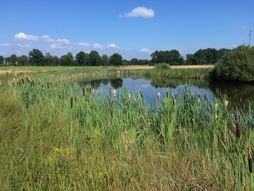 Nördliches Kleingwässer