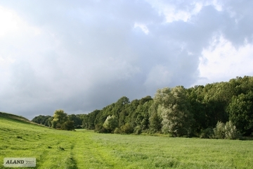 Intensivgrünland westlich vom Leinebusch - Graues Tal