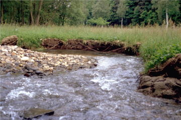 Naturnahe Strukturen am Ingelheimbach