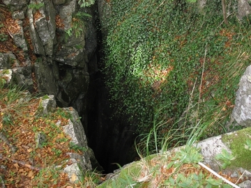 LRT 8310 - Nicht touristisch erschlossene Höhle