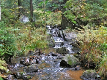 Große Bremke - Lebensraum der Groppe