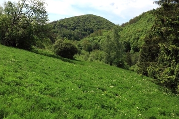 LRT 6520 - Berg-Mähwiese mit Blick auf den Großen Staufenberg