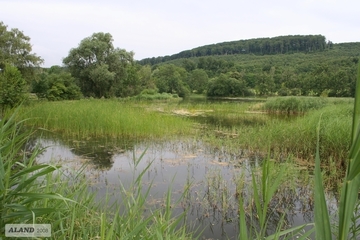 Teiche im Reitlingstal