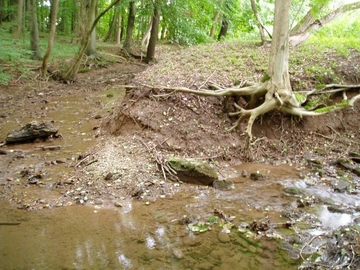 Naturnaher Abschnitt der Dramme