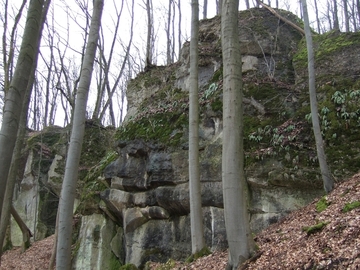 LRT 8210 - Kalkfelsen mit Felsspaltenvegetation