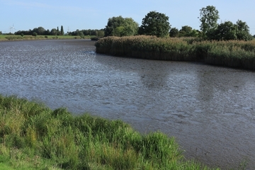 Vegetationsloses Süßwasserwatt an der Hunte