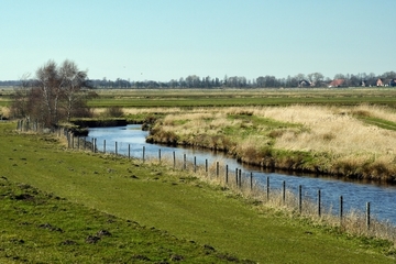 Offene Wasserflächen-Jagdlebensraum der Teichfledermaus