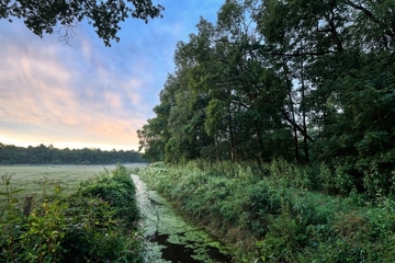 Kleinere und größere Gräben ziehen sich durch das Gebiet.