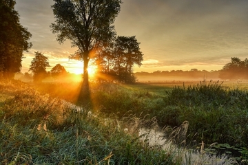 Abendstimmung am Ihlower Forst