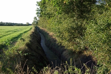 Tiefgründiger Entwässerungsgraben am Rande des Hochmoors