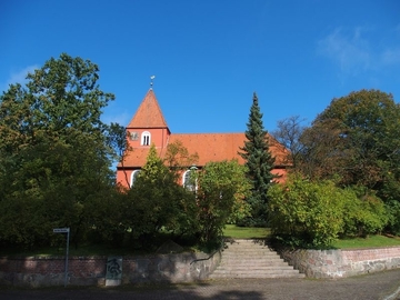 Wochenstubenquartier des Großen Mausohrs in Dachstuhl der St. Petri Kirche in Kirchlinteln