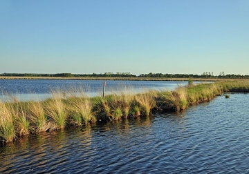 Überstaute Hochmoor-Renaturierungsfläche