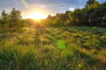 Die Moorlandschaft im Fintlandsmoor