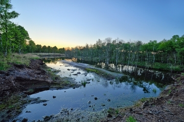 Wasserfläche mit angrenzendem Moorwald