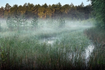 FFH-Gebiet 249 Tannersand und Gierenberg