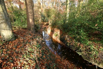 Schmaler Bachlauf im Süden des Gebiets