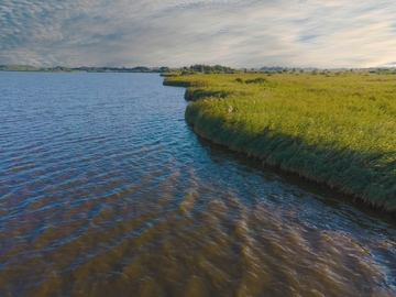 Naturschutzgebiet "Großes-Meer, Loppersumer-Meer"