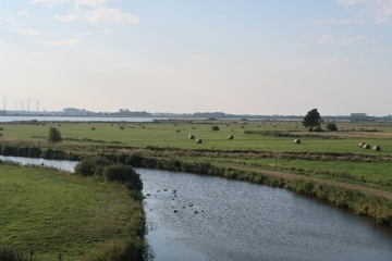 Naturschutzgebiet "Großes-Meer, Loppersumer-Meer"