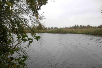 Naturschutzgebiet "Großes-Meer, Loppersumer-Meer"