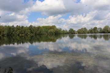 Teich in Langefeld