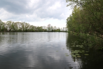 Teich Westerende-Kirchloog