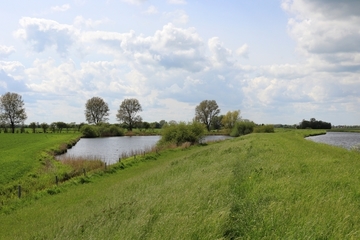 Teich am Ems-Jade-Kanal