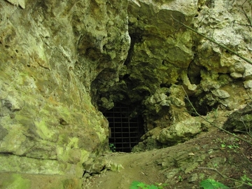 Fledermaus-Winterquartier - LRT 8310 - Nicht touristisch erschlossene Höhle