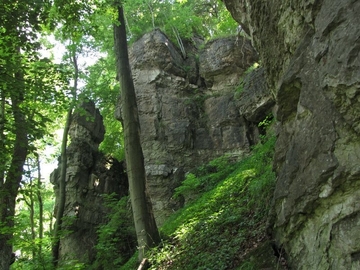 LRT 8210 - Kalkfelsen mit Felsspaltenvegetation