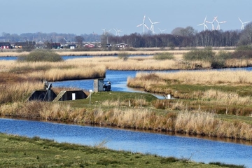 Mosaik aus Wasserflächen, Röhrrichten und Weidengebüschen.