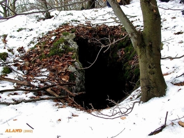 LRT 8310 - Nicht touristisch erschlossene Höhle