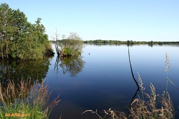 Blick auf den Balksee