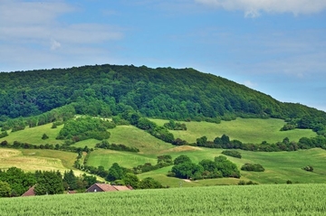 Strukturreiche Kulturlandschaft