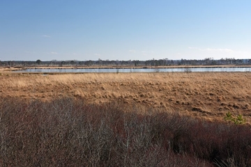 Blick auf den Huvenhoopssee (LRT 3160)