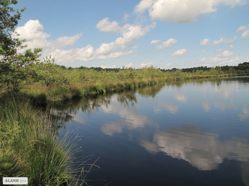 Bullensee mit lebendem Hochmoor (LRT 7110) in der Verlandungszone